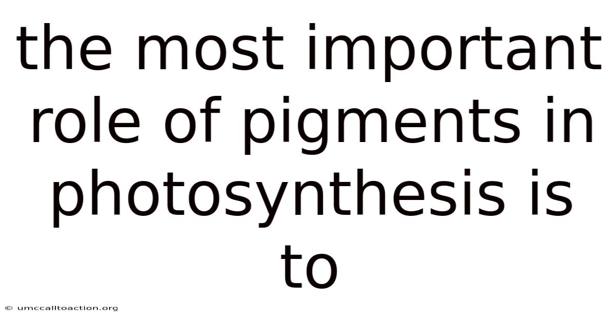 The Most Important Role Of Pigments In Photosynthesis Is To