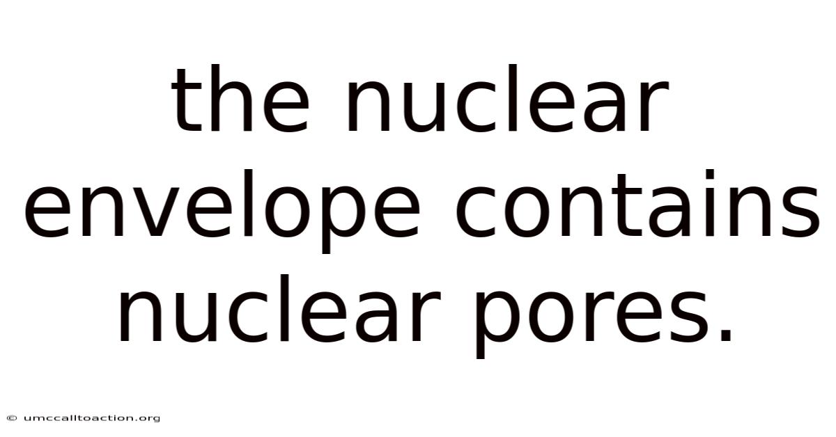 The Nuclear Envelope Contains Nuclear Pores.