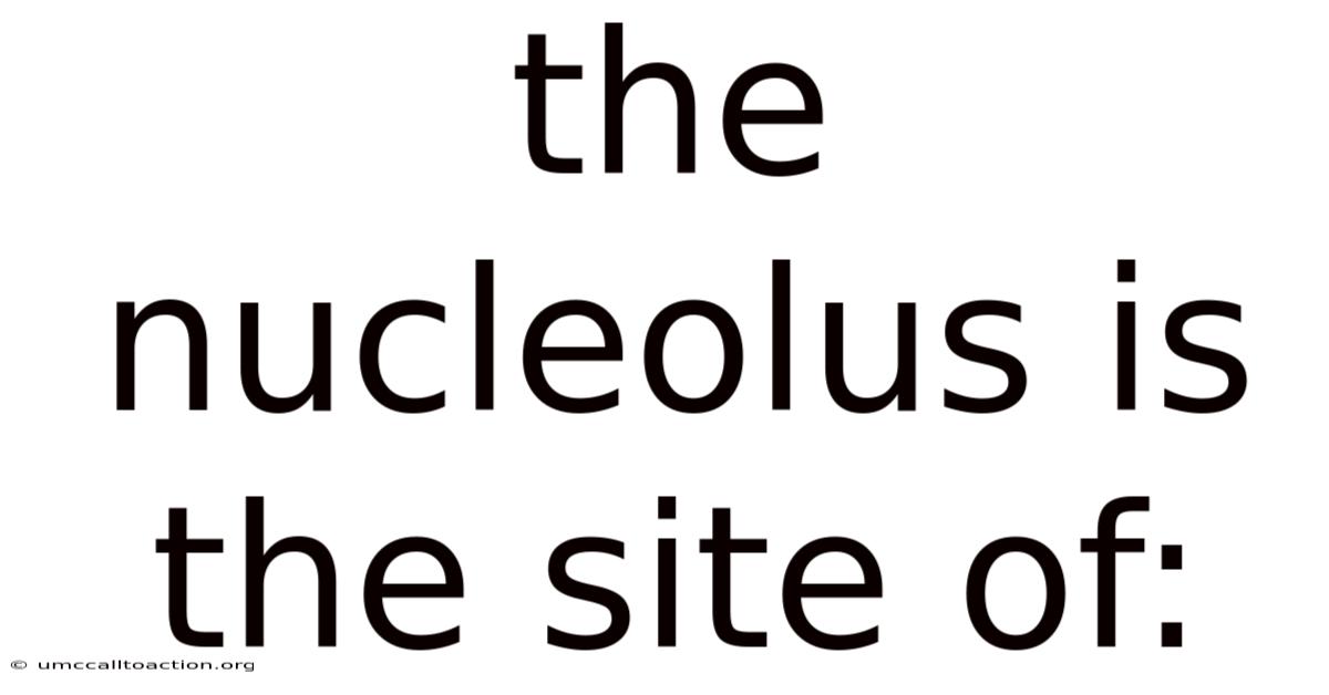 The Nucleolus Is The Site Of: