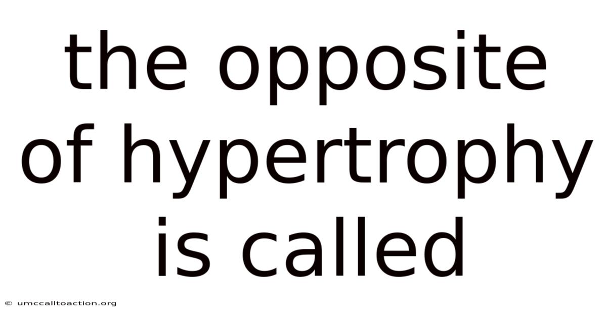The Opposite Of Hypertrophy Is Called