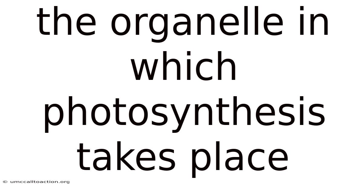 The Organelle In Which Photosynthesis Takes Place
