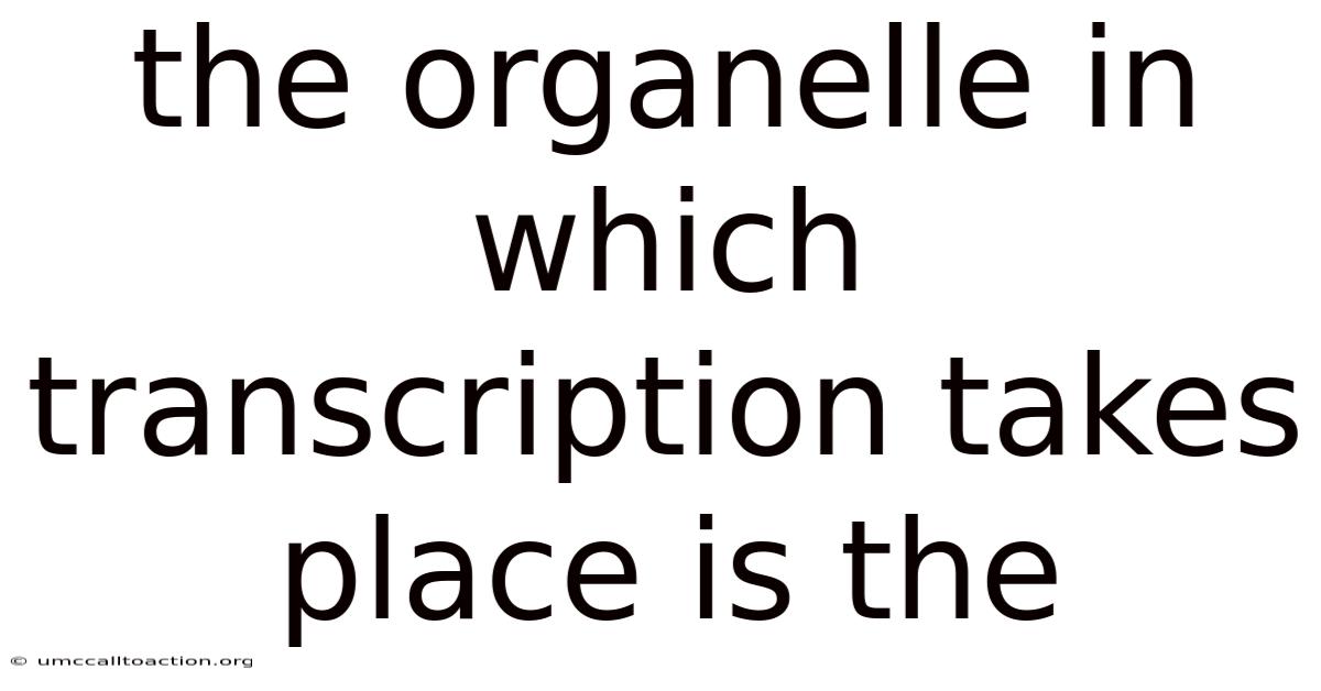 The Organelle In Which Transcription Takes Place Is The
