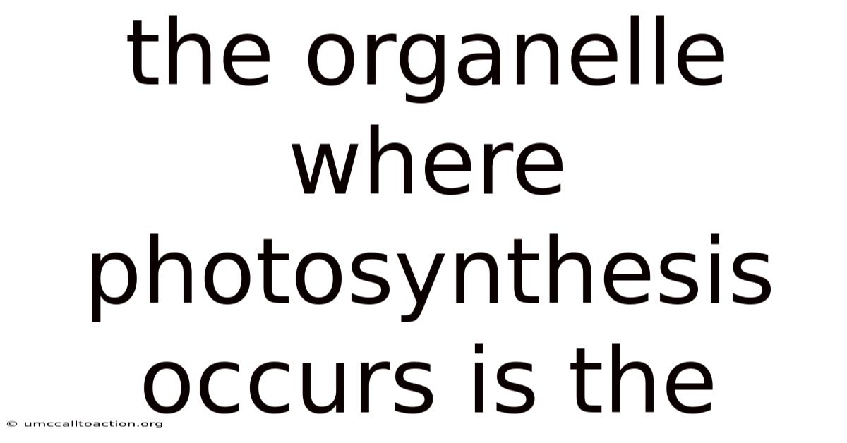 The Organelle Where Photosynthesis Occurs Is The