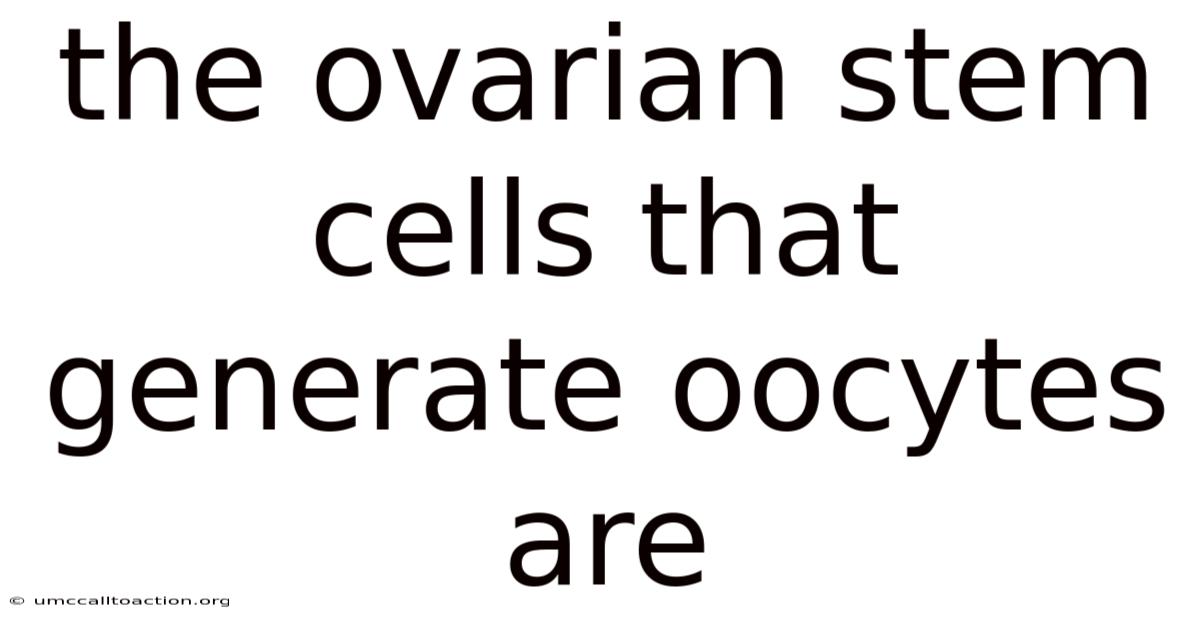 The Ovarian Stem Cells That Generate Oocytes Are