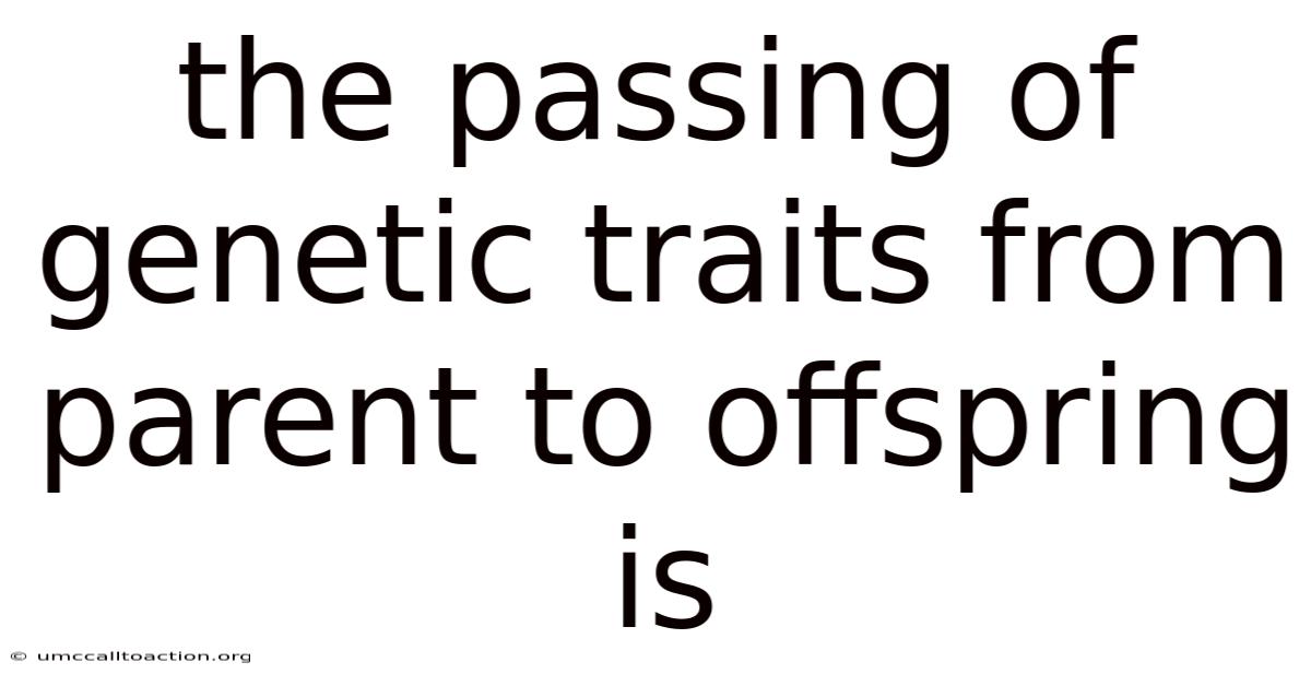 The Passing Of Genetic Traits From Parent To Offspring Is