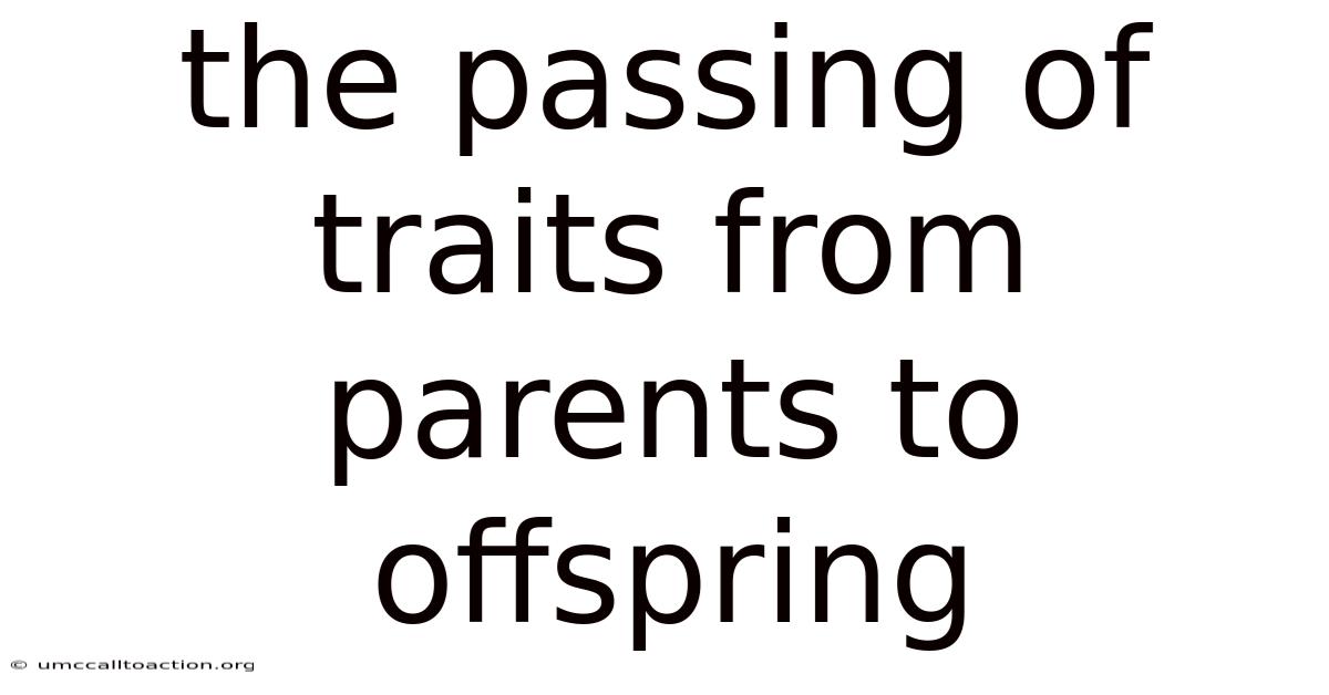 The Passing Of Traits From Parents To Offspring