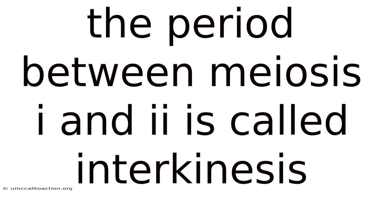 The Period Between Meiosis I And Ii Is Called Interkinesis