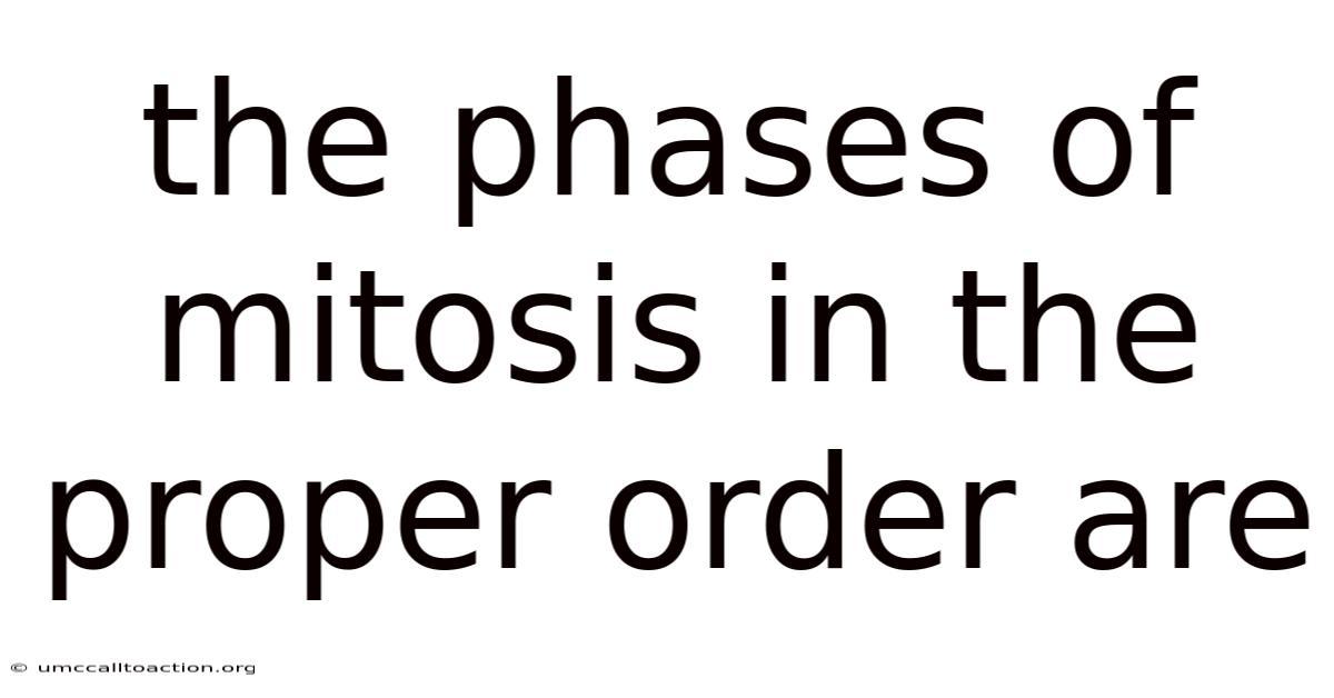 The Phases Of Mitosis In The Proper Order Are