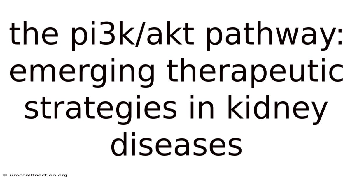 The Pi3k/akt Pathway: Emerging Therapeutic Strategies In Kidney Diseases