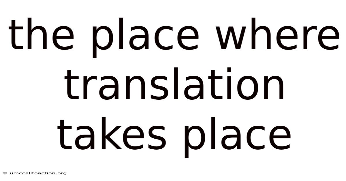 The Place Where Translation Takes Place