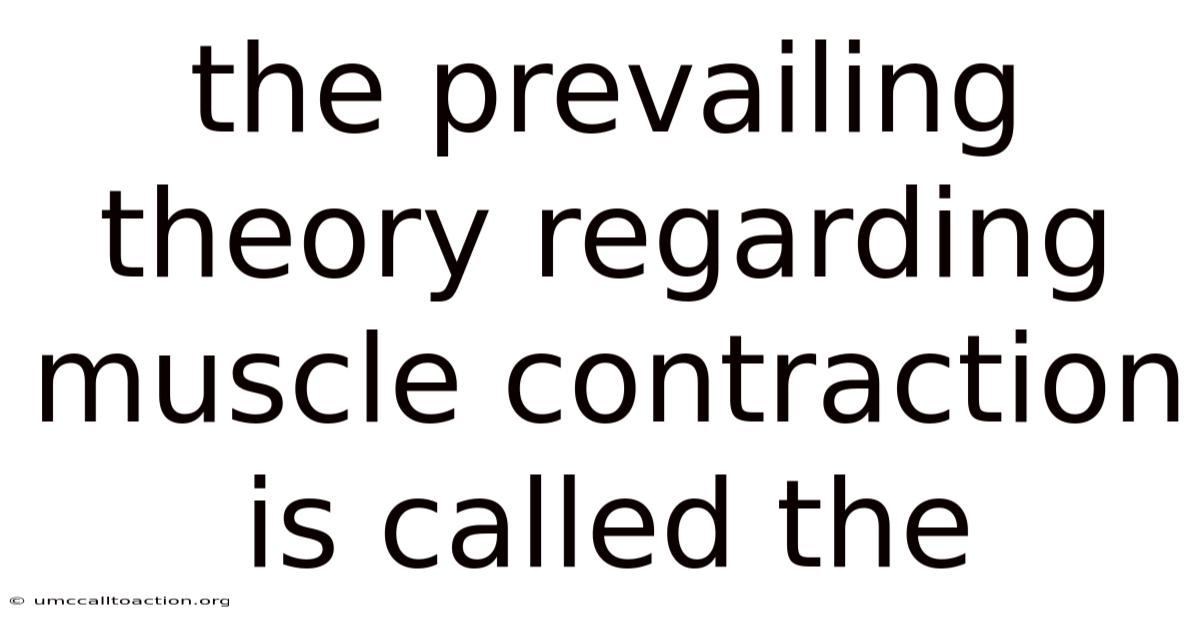 The Prevailing Theory Regarding Muscle Contraction Is Called The