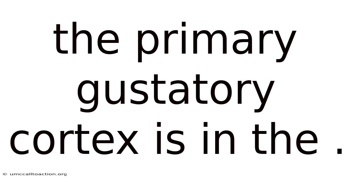 The Primary Gustatory Cortex Is In The .