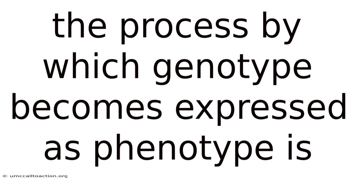 The Process By Which Genotype Becomes Expressed As Phenotype Is