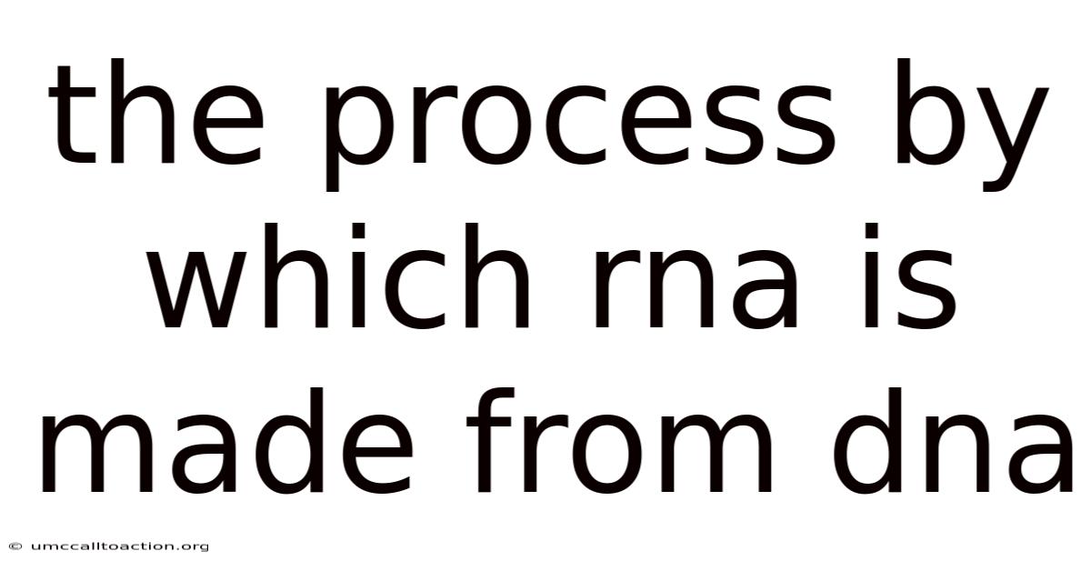 The Process By Which Rna Is Made From Dna