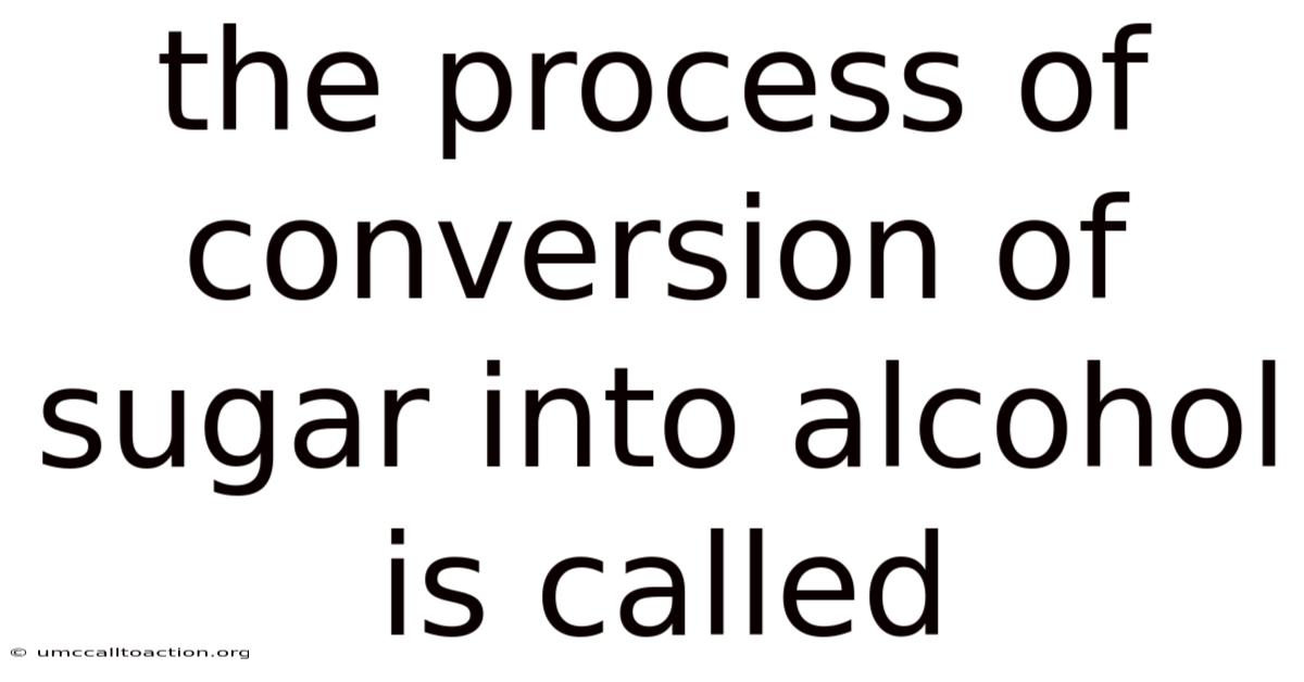 The Process Of Conversion Of Sugar Into Alcohol Is Called