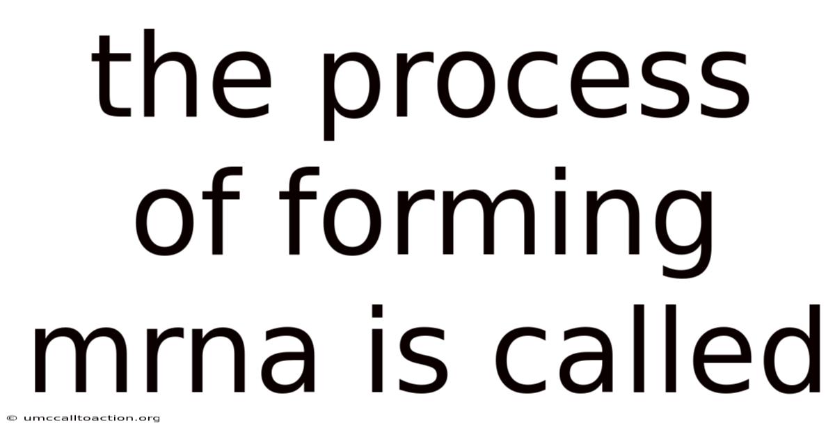 The Process Of Forming Mrna Is Called
