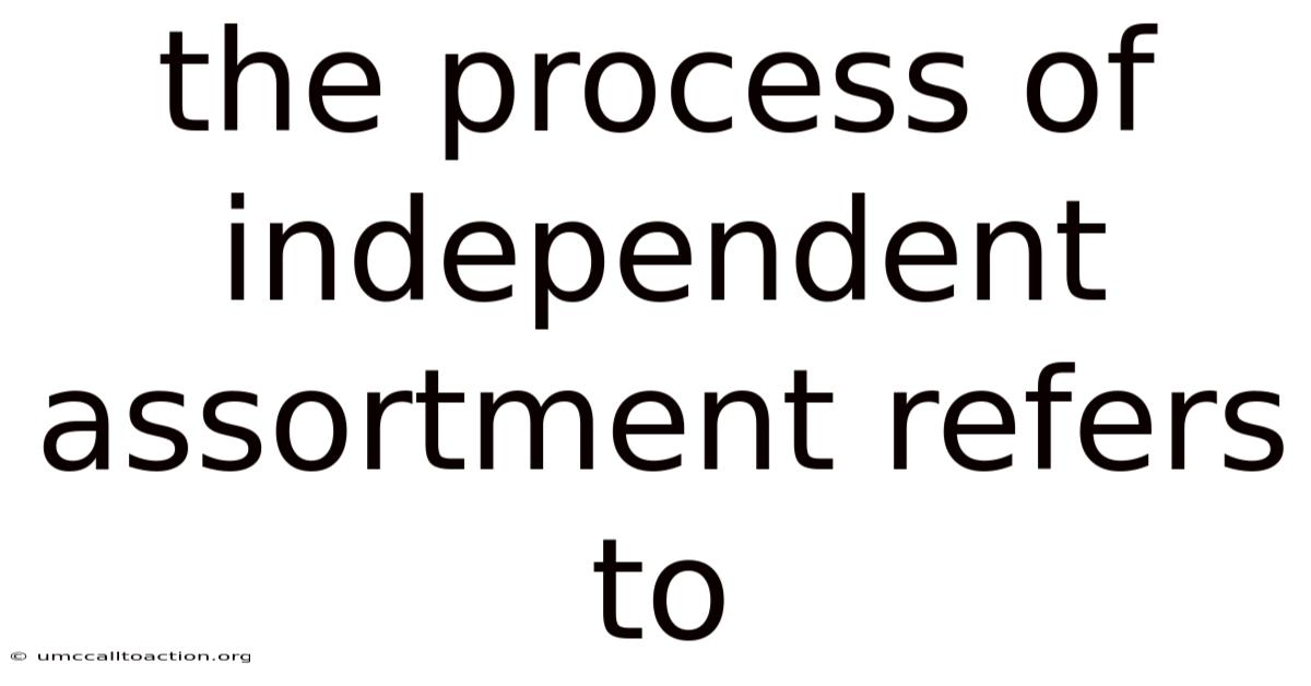 The Process Of Independent Assortment Refers To