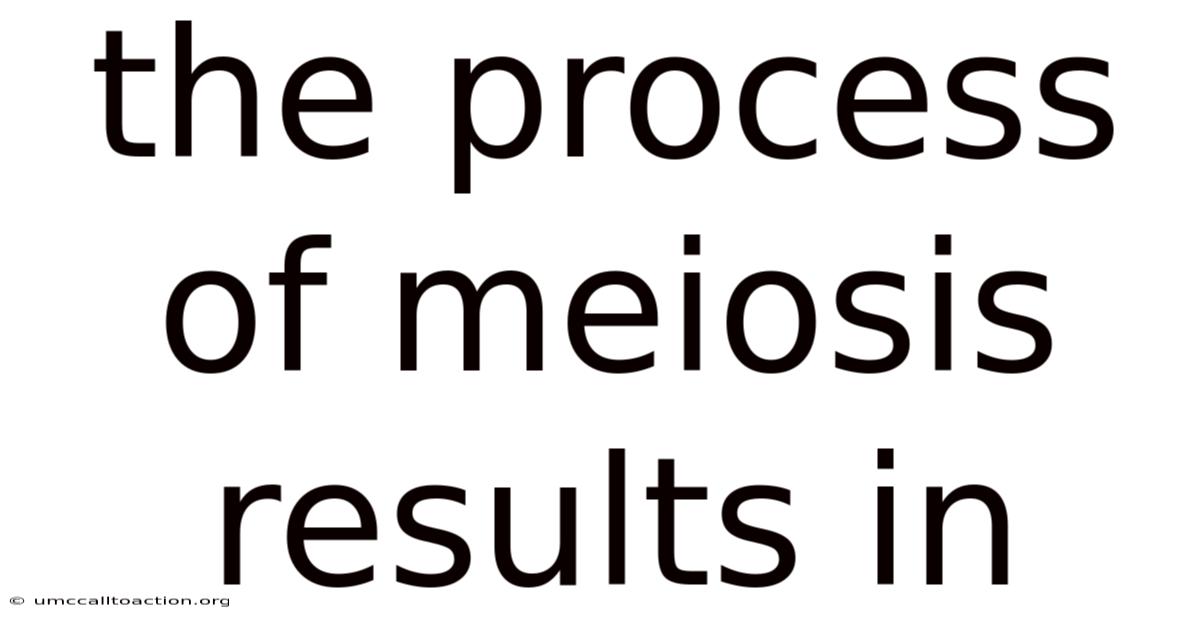 The Process Of Meiosis Results In