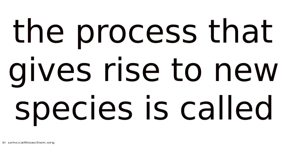 The Process That Gives Rise To New Species Is Called