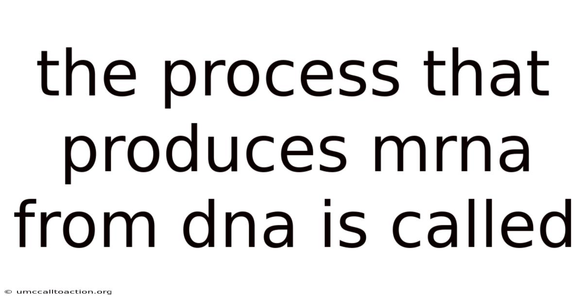 The Process That Produces Mrna From Dna Is Called