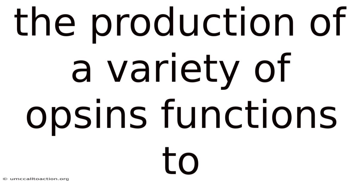 The Production Of A Variety Of Opsins Functions To