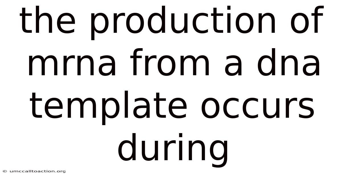 The Production Of Mrna From A Dna Template Occurs During