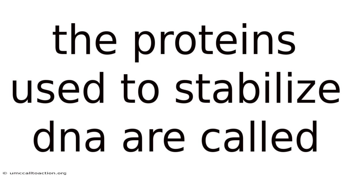 The Proteins Used To Stabilize Dna Are Called