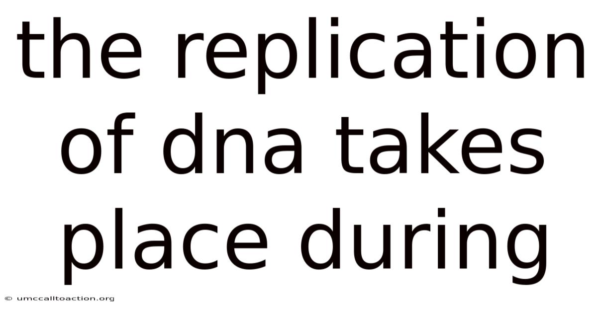 The Replication Of Dna Takes Place During