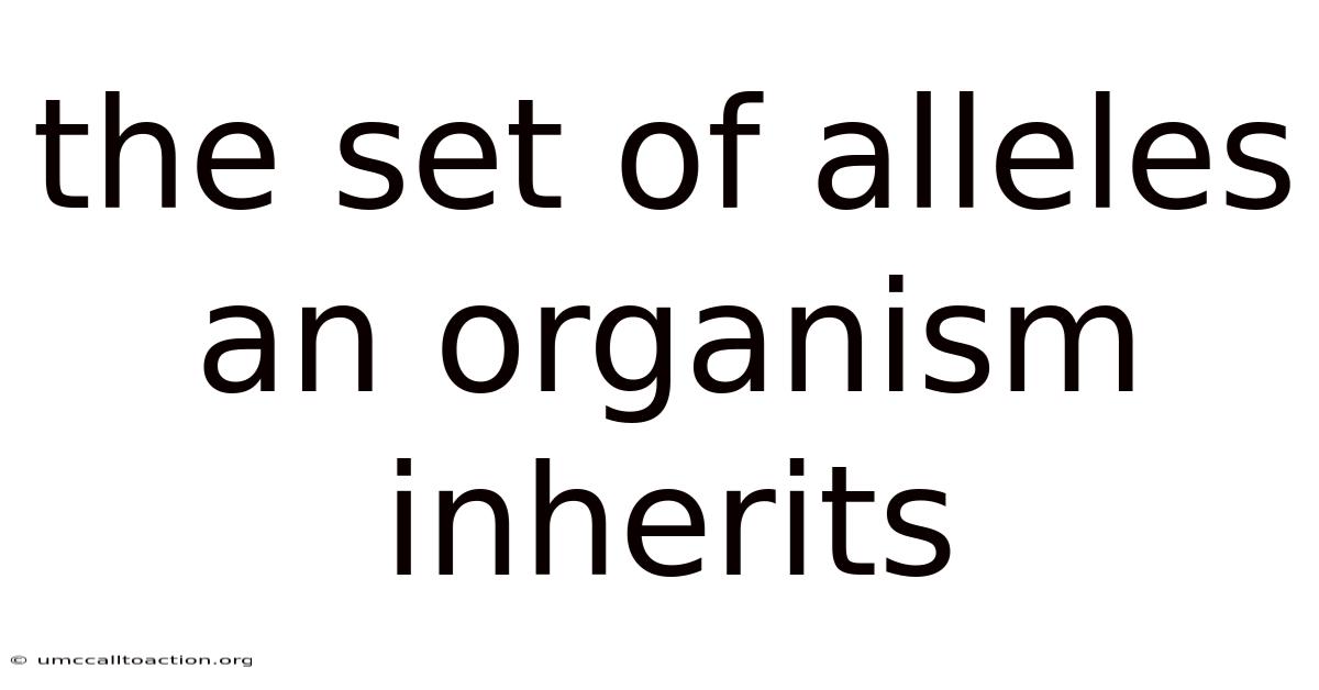 The Set Of Alleles An Organism Inherits