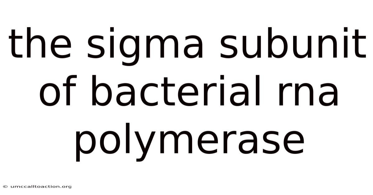 The Sigma Subunit Of Bacterial Rna Polymerase