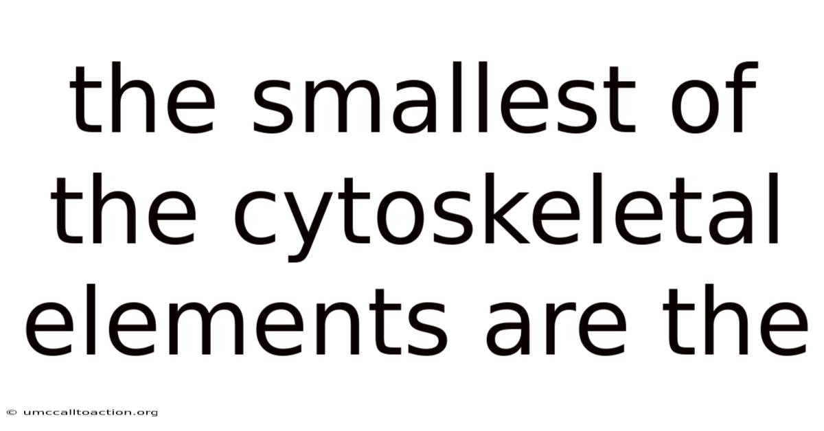 The Smallest Of The Cytoskeletal Elements Are The