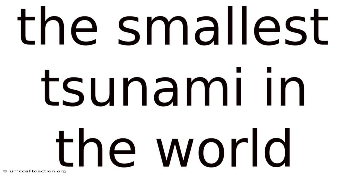 The Smallest Tsunami In The World