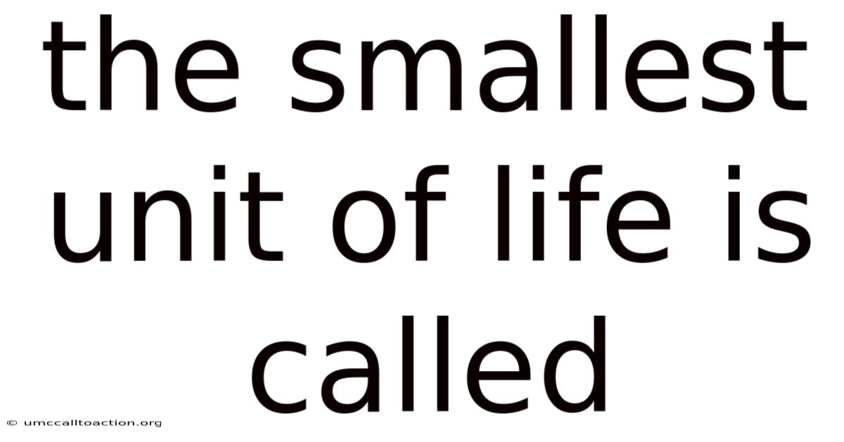 The Smallest Unit Of Life Is Called