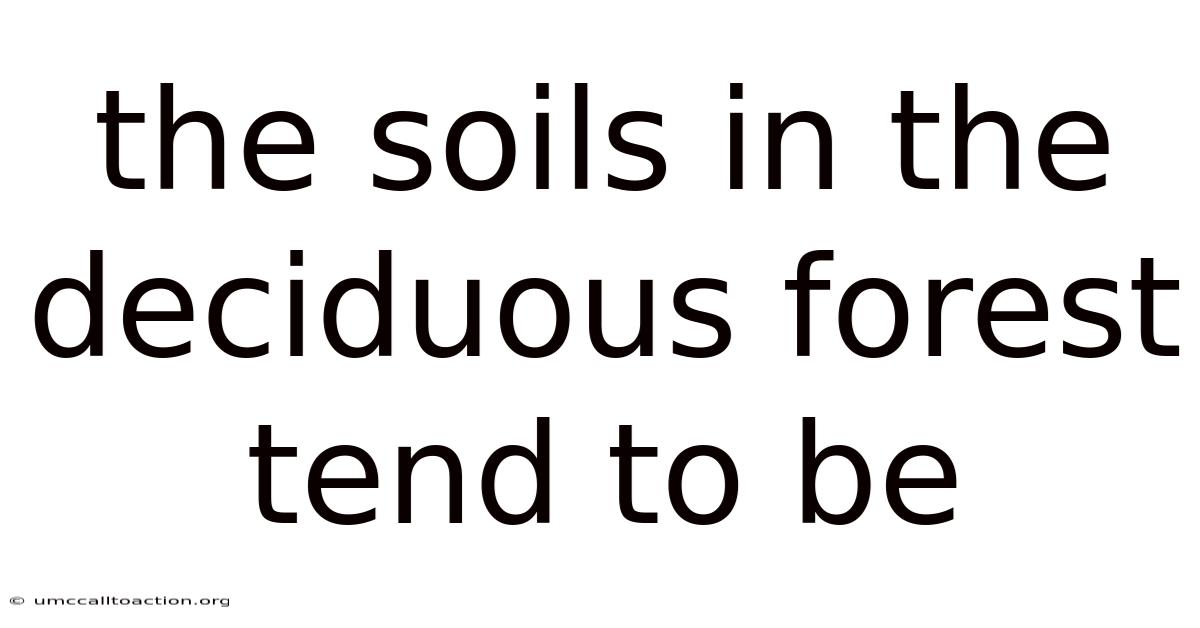 The Soils In The Deciduous Forest Tend To Be