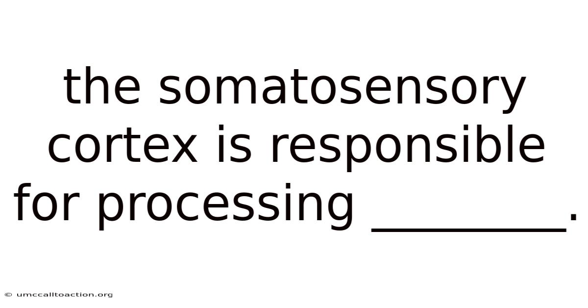 The Somatosensory Cortex Is Responsible For Processing ________.
