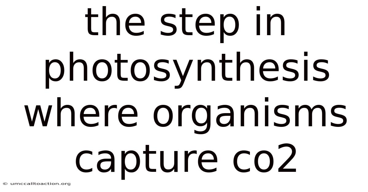 The Step In Photosynthesis Where Organisms Capture Co2