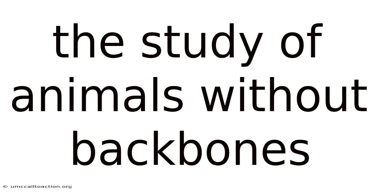 The Study Of Animals Without Backbones