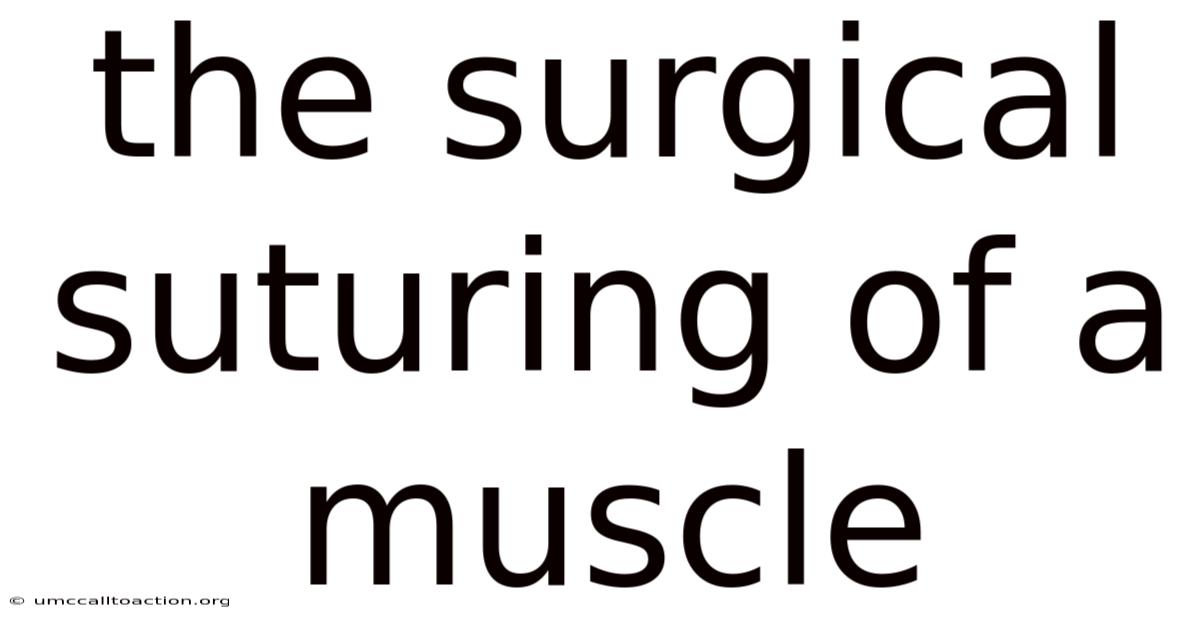 The Surgical Suturing Of A Muscle