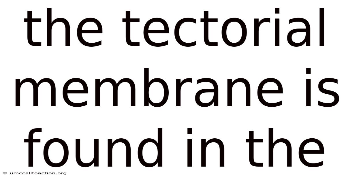 The Tectorial Membrane Is Found In The