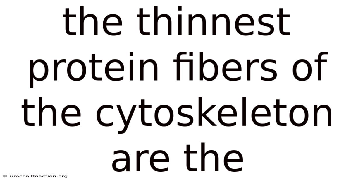 The Thinnest Protein Fibers Of The Cytoskeleton Are The
