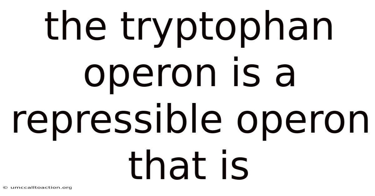 The Tryptophan Operon Is A Repressible Operon That Is