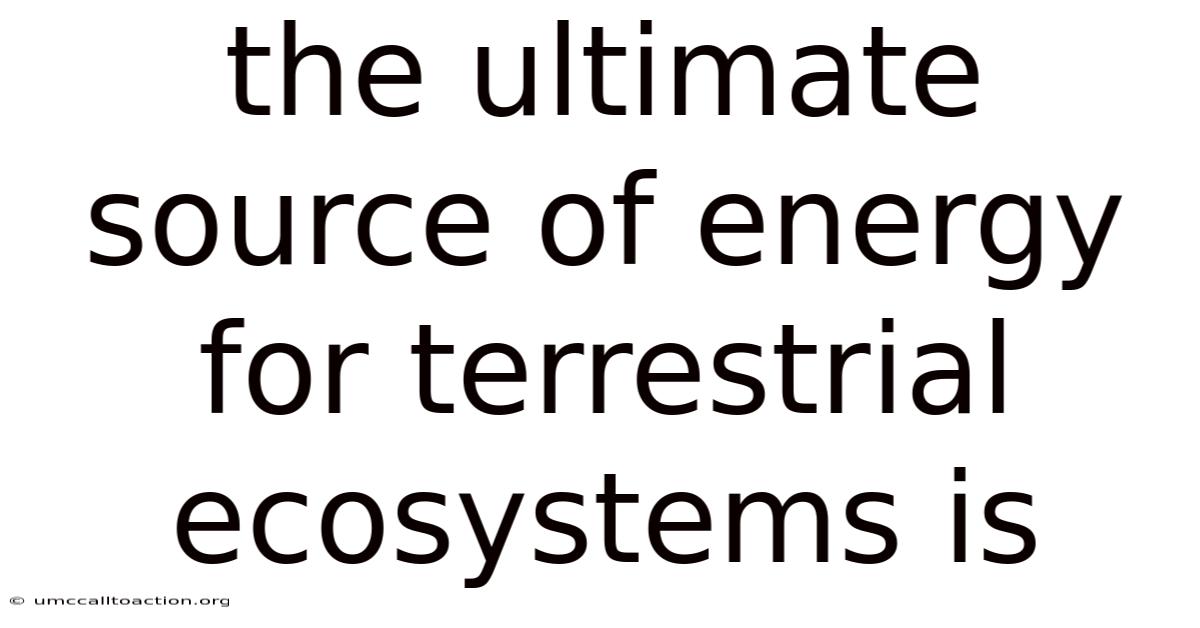 The Ultimate Source Of Energy For Terrestrial Ecosystems Is