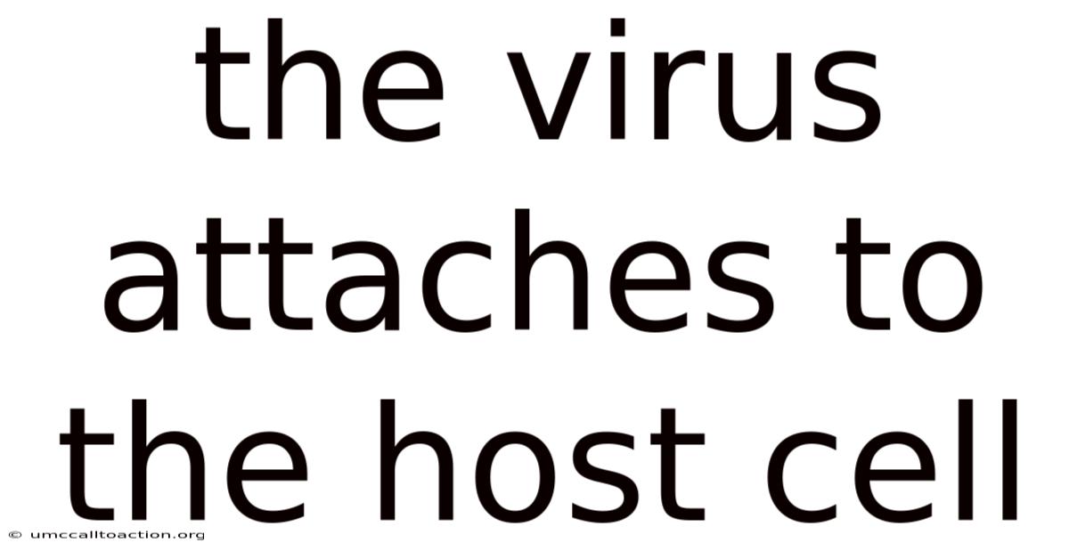 The Virus Attaches To The Host Cell