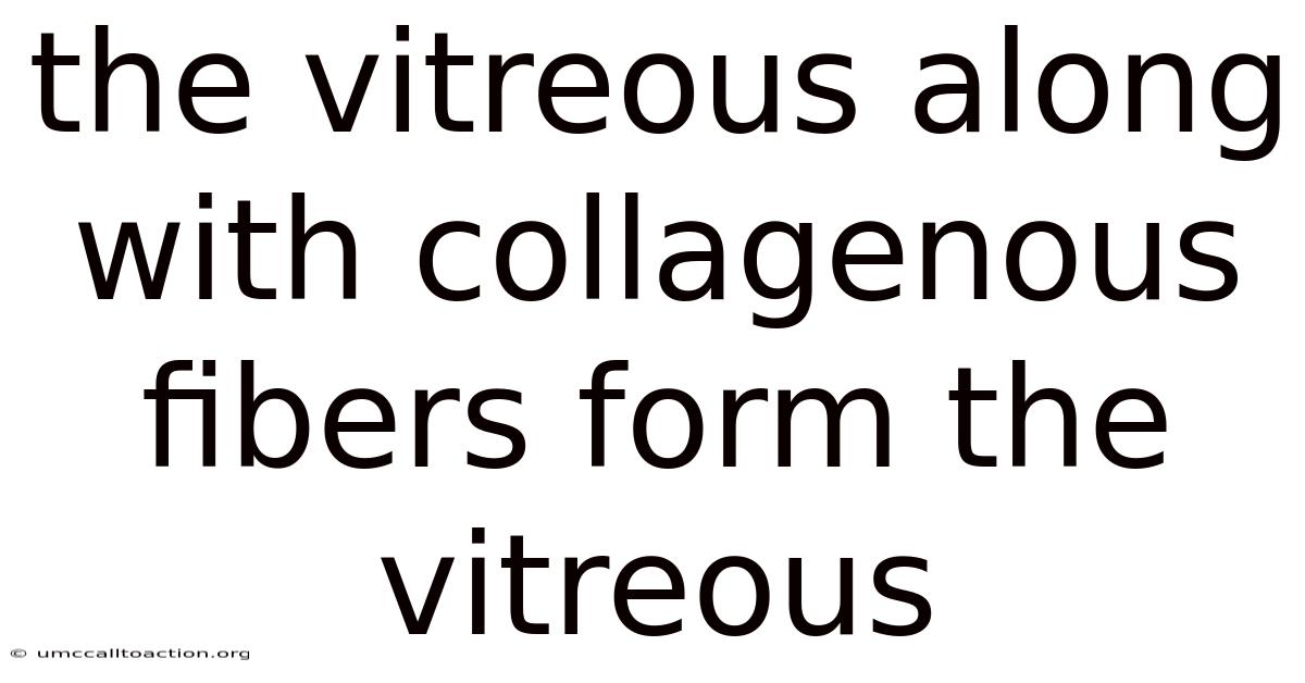 The Vitreous Along With Collagenous Fibers Form The Vitreous