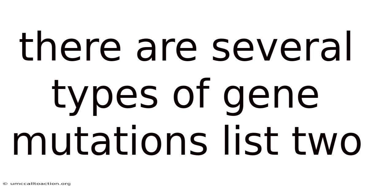 There Are Several Types Of Gene Mutations List Two
