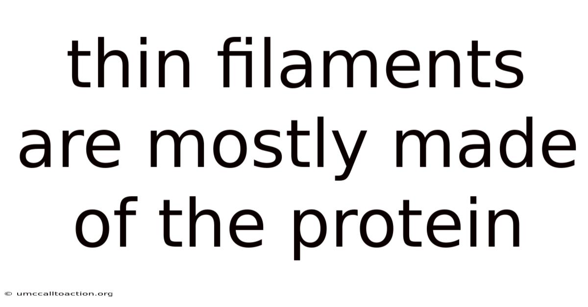 Thin Filaments Are Mostly Made Of The Protein