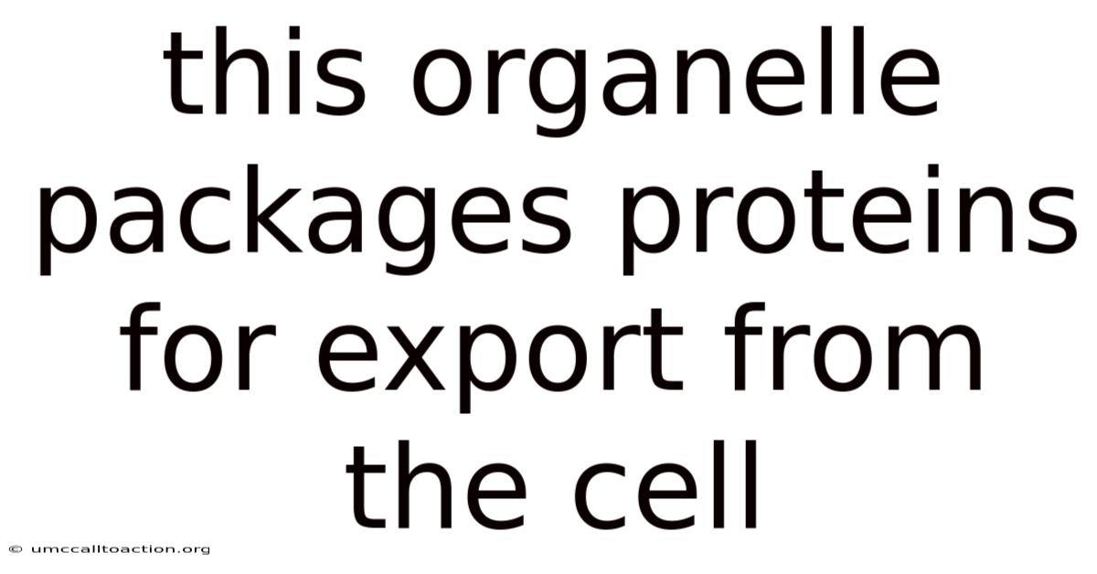 This Organelle Packages Proteins For Export From The Cell