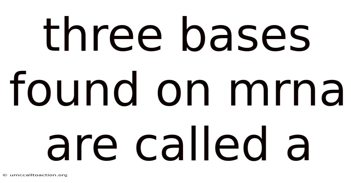 Three Bases Found On Mrna Are Called A