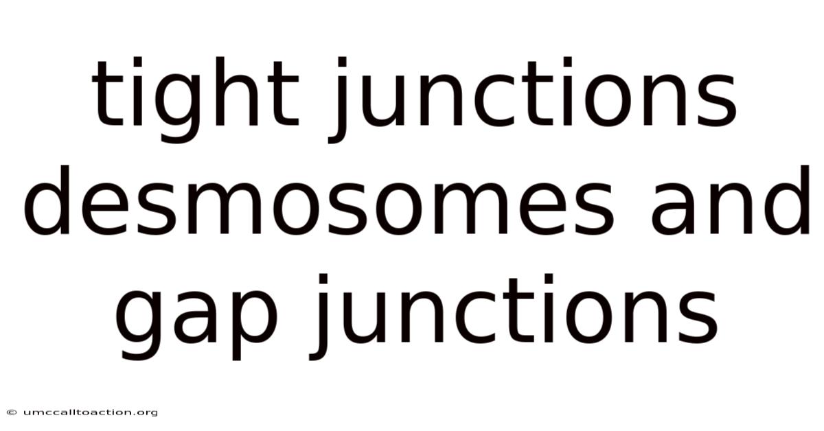 Tight Junctions Desmosomes And Gap Junctions