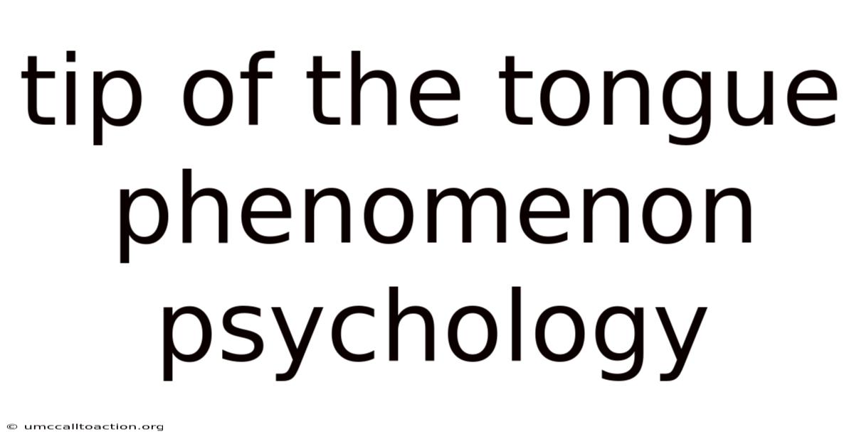 Tip Of The Tongue Phenomenon Psychology